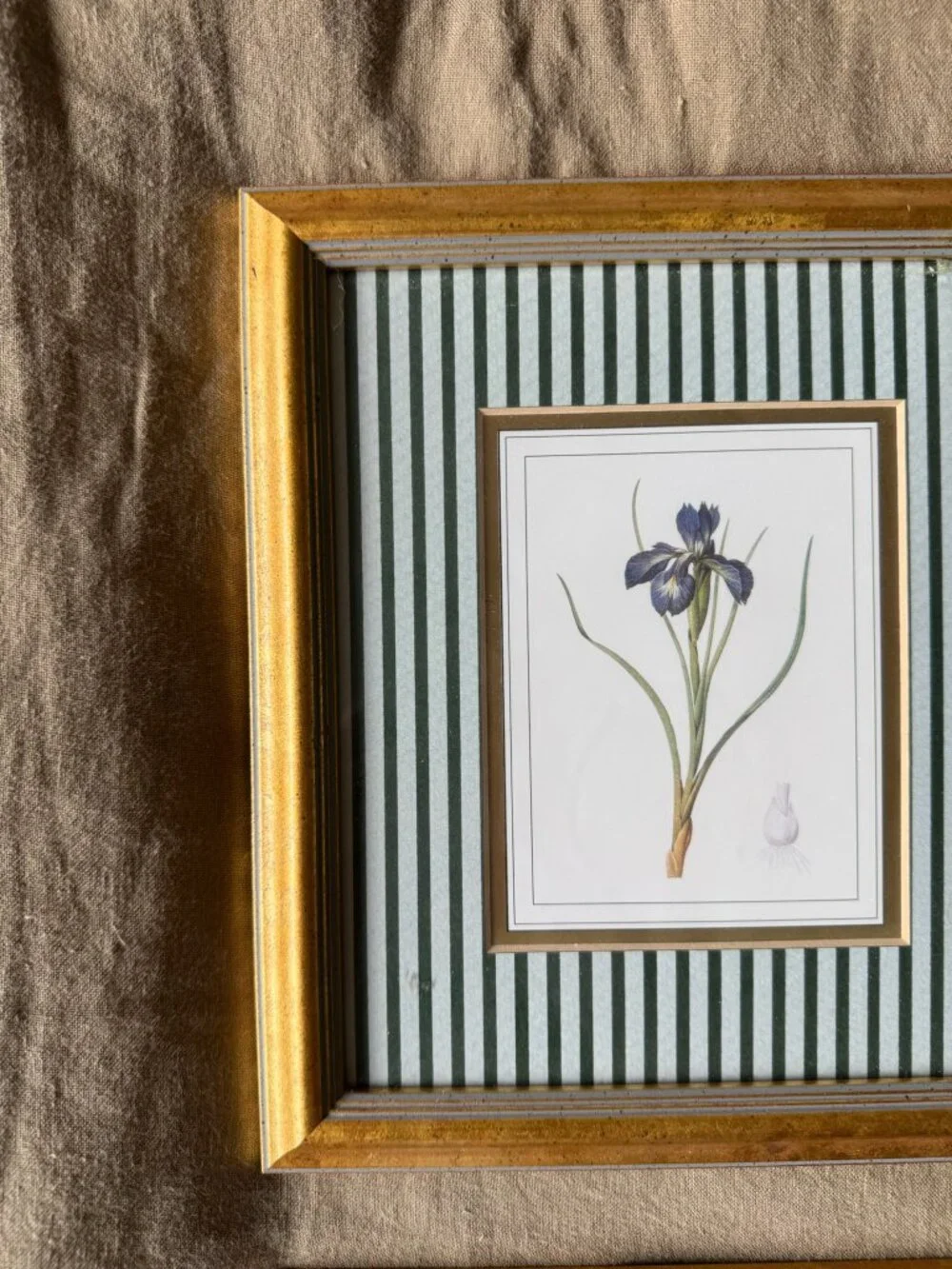 N/A framed botanical